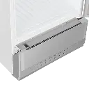 Haier Beverage Cooler 320L _Showcase (2).webp