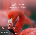 Hisense 50_ A6H 4K UHD Smart TV with HDR & Dolby Digita.webp