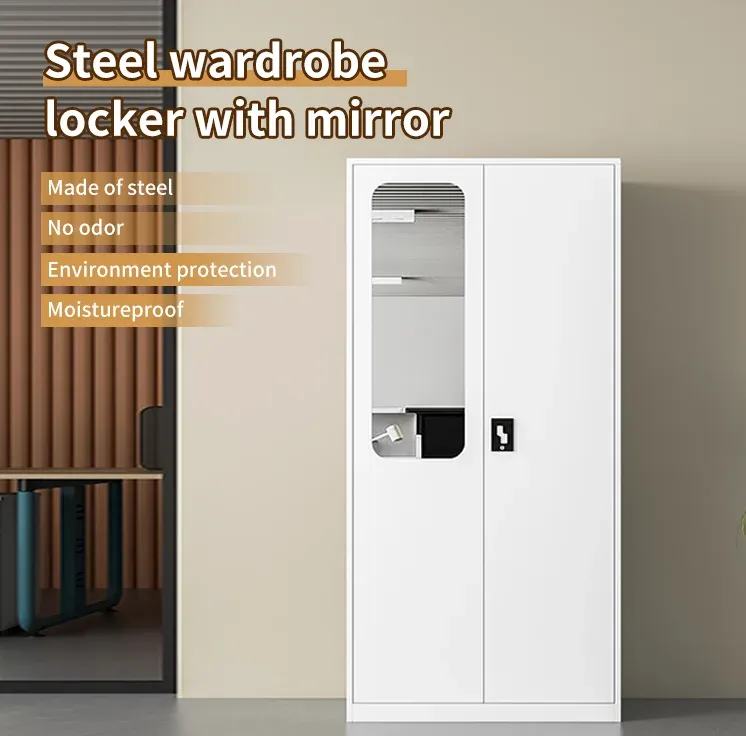 2 Door Clothing Storage Locker Cabinet With Mirror
