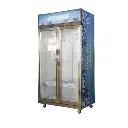 Snowsea 700L Showcase Freezer |SN700